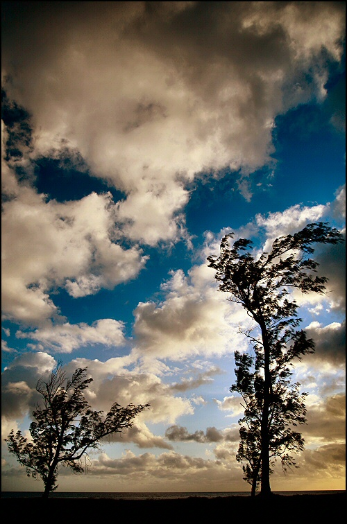 Photographie par Juicer pour DesignCrowd (Community Contests) | Design #9018400