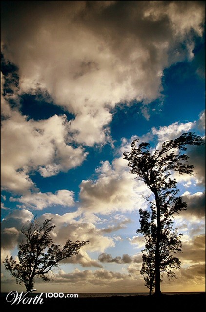 Photography by Juicer