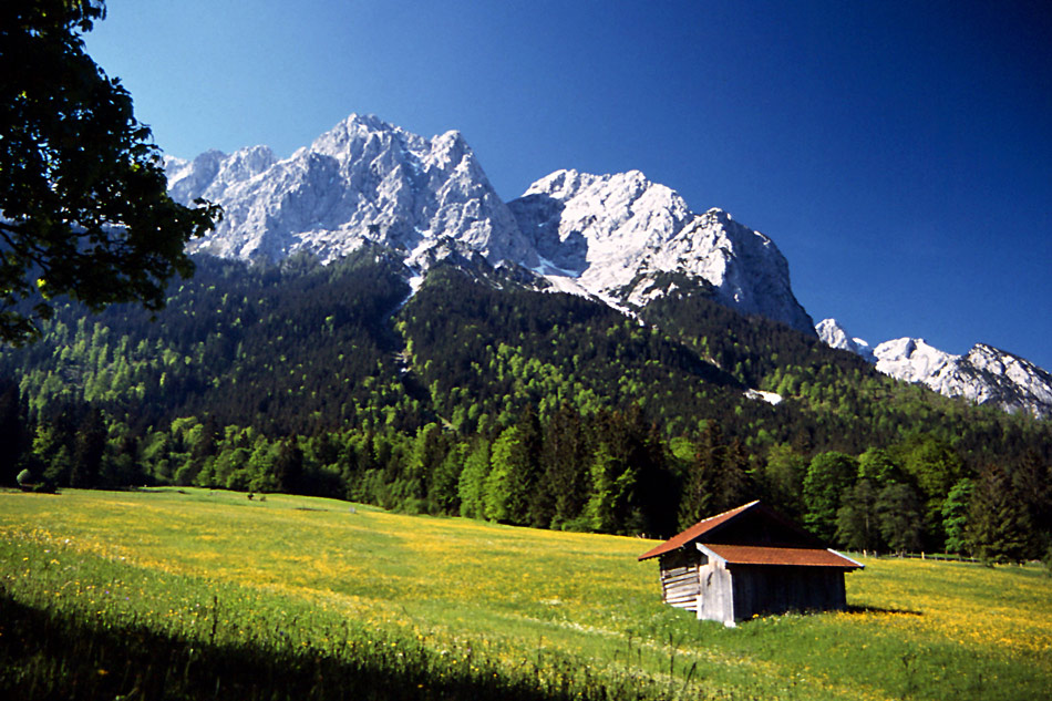 Fotografía por Bastet para DesignCrowd (Community Contests) | Diseño #9018490