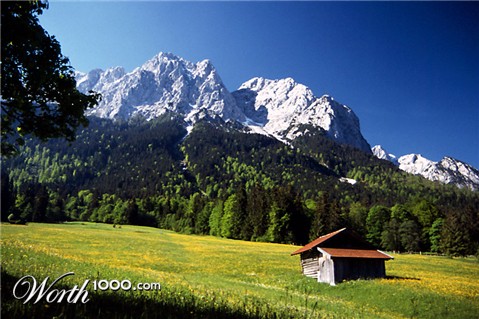 Photography by Bastet