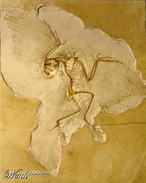 Photoshop Design by Fishwife