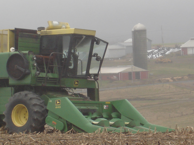 Photography by fearscythe for DesignCrowd (Community Contests) | Design #9018475