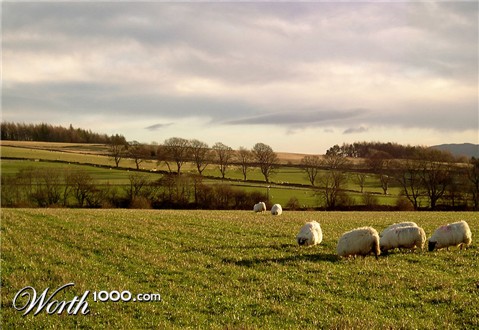 Photography by Massie