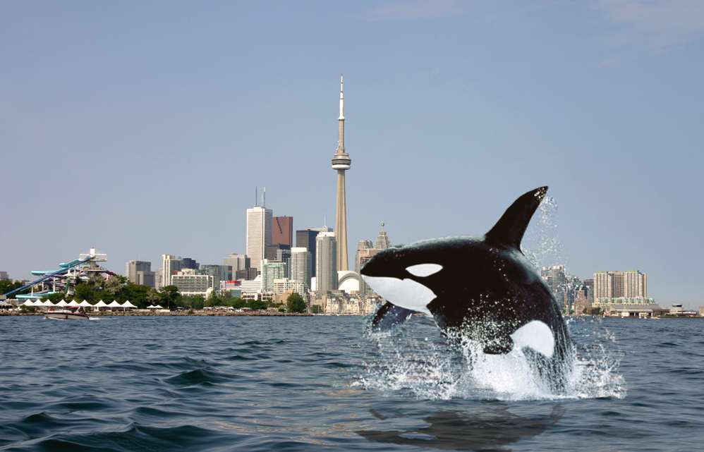 Diseño de Photoshop por mist3rbl4ck para DesignCrowd (Community Contests) | Diseño #9015243