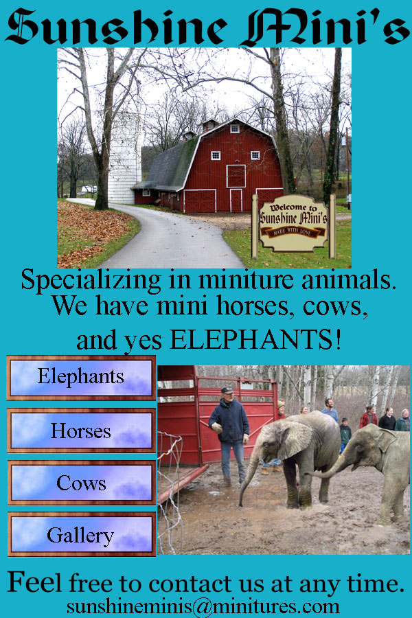 Photoshop Design by Rhiannonsmommy for DesignCrowd (Community Contests) | Design #9015306