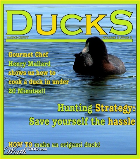 Photography by 1thirteen3