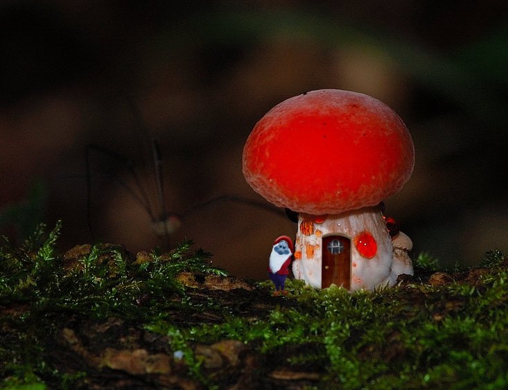 Photoshop-Design von ShadyAlaska für DesignCrowd (Community Contests) | Design #9015291