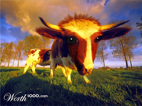 Photoshop Design by FoxieRockxie420