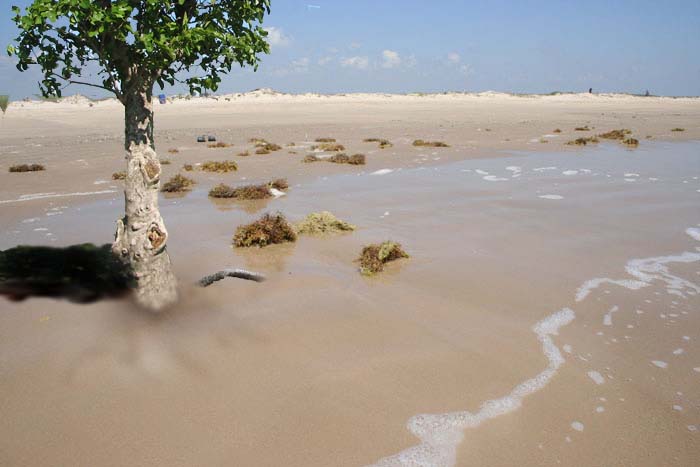 Photoshop Design by Naeuio for DesignCrowd (Community Contests) | Design #9015380