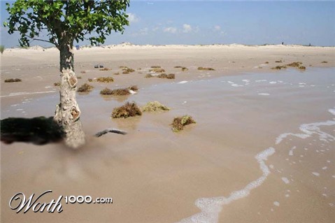 Photoshop Design by Naeuio