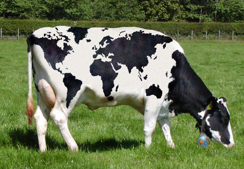 Photoshop Design by xTOTO62x for DesignCrowd (Community Contests) | Design #9022001