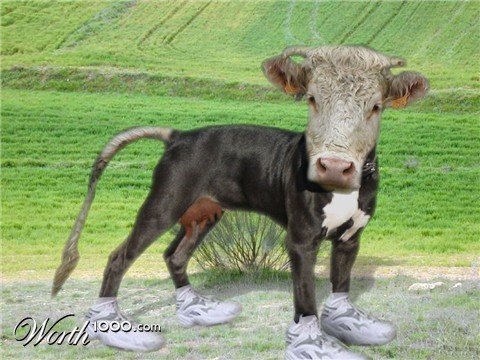 Photoshop Design by BACARXN