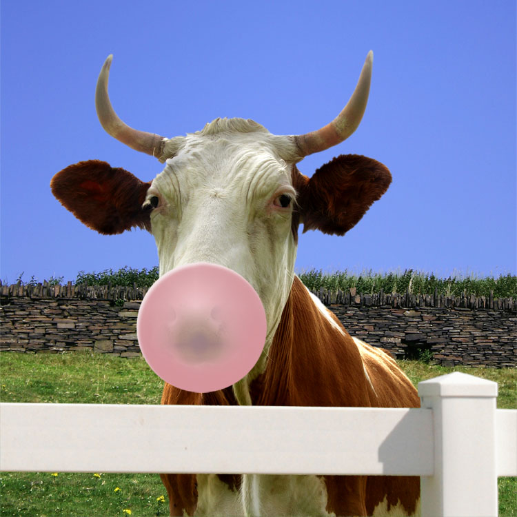 Photoshop Design by godzillatemple for DesignCrowd (Community Contests) | Design #9022039