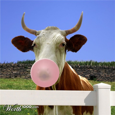 Photoshop Design by godzillatemple