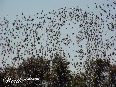 Photoshop Design by dontago