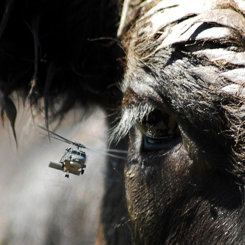 Photoshop Design by Jakndi for DesignCrowd (Community Contests) | Design #9022047