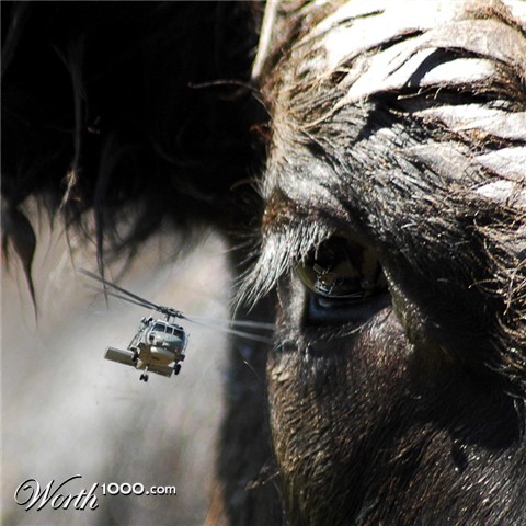 Photoshop Design by Jakndi