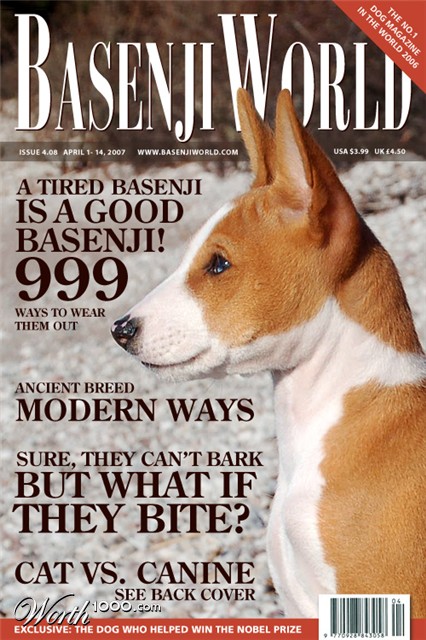 Photography by Grottzork