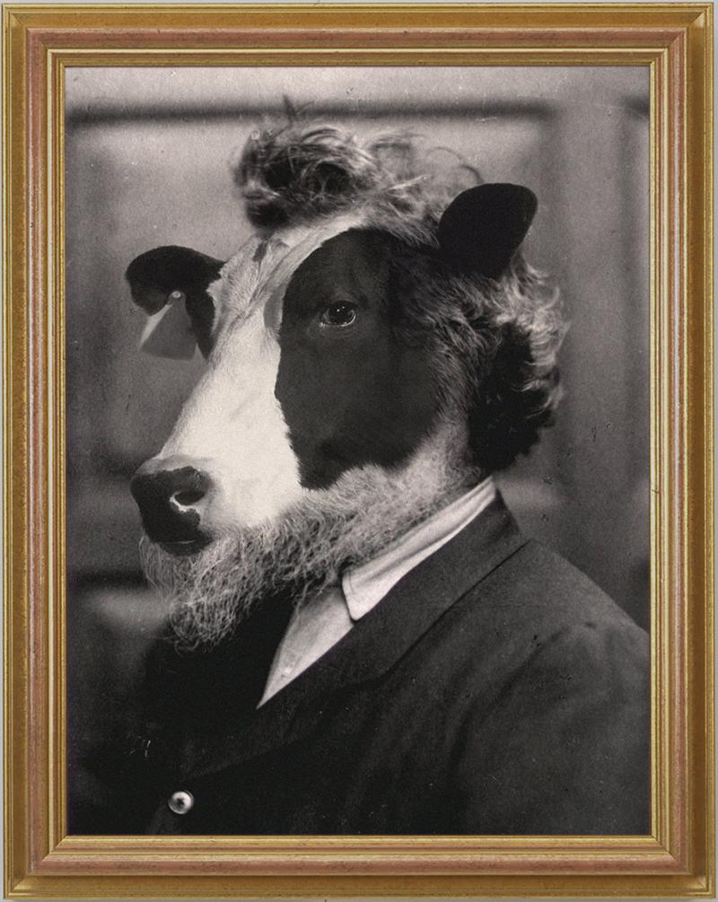 Photoshop Design by sugarcane for DesignCrowd (Community Contests) | Design #9022106