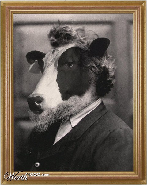 Photoshop Design by sugarcane