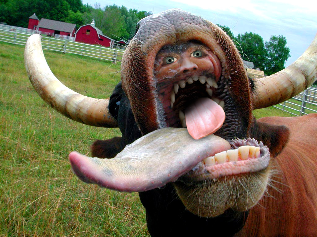 Design Photoshop par Terrence pour DesignCrowd (Community Contests) | Design #9022075