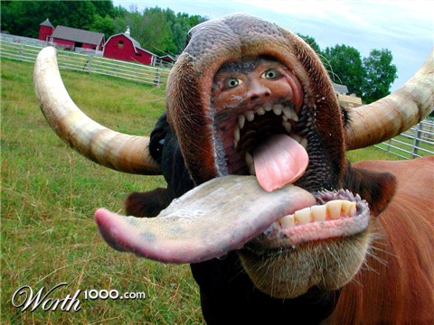 Photoshop Design by Terrence