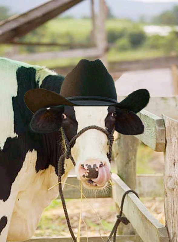 Photoshop Design by PeterAAAWelch for DesignCrowd (Community Contests) | Design #9022171