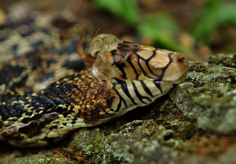 Design Photoshop par dontago pour DesignCrowd (Community Contests) | Design #9022173