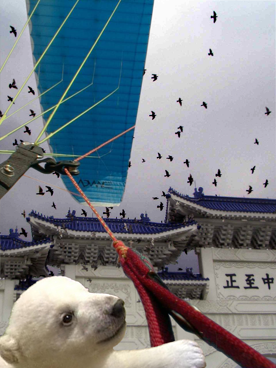 Photoshop Design by etepeteta for DesignCrowd (Community Contests) | Design #9018570