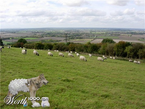 Photoshop Design by GrumpyTX