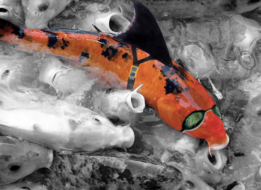 Photoshop Design by starrwalker for DesignCrowd (Community Contests) | Design #9018567