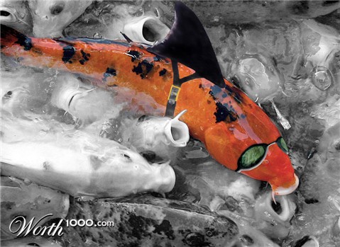 Photoshop Design by starrwalker