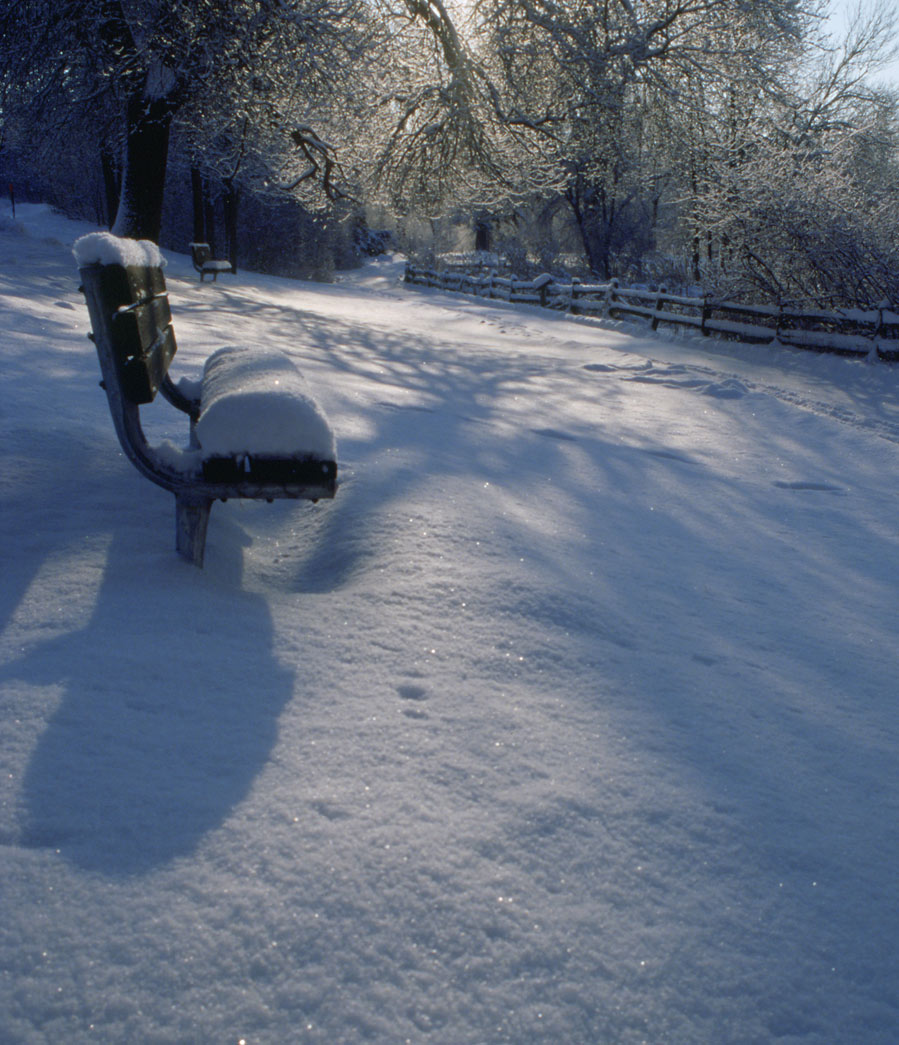 Fotografía por northman para DesignCrowd (Community Contests) | Diseño #9015143