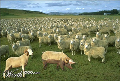 Photoshop Design by NormaPorter