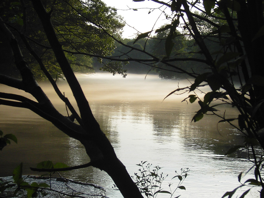 Photography by kate614 for DesignCrowd (Community Contests) | Design #9015174