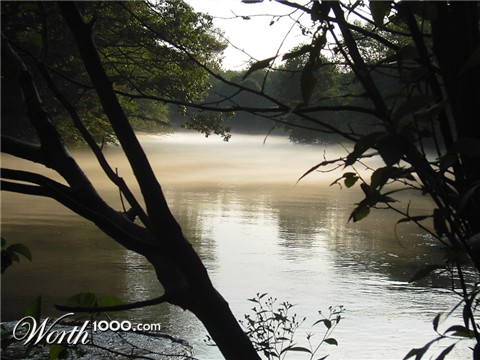Photography by kate614