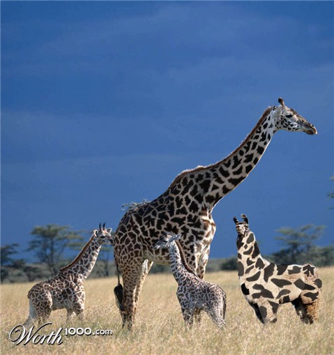Photoshop Design by MontanaRage
