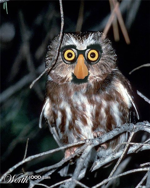 Photoshop Design by piratecon