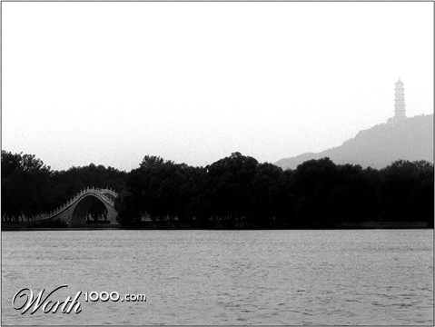 Photography by shluhzor