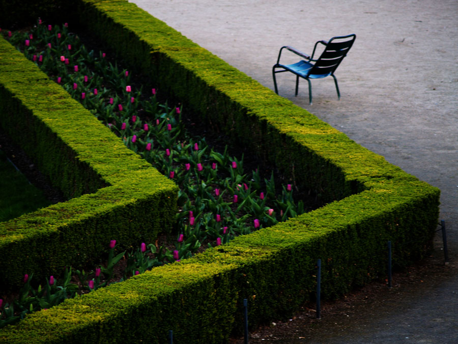 Fotografía por pyrusmalus para DesignCrowd (Community Contests) | Diseño #9015163