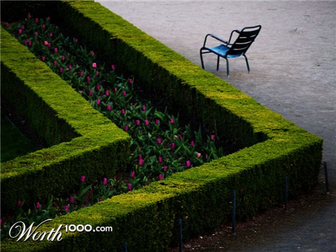 Photography by pyrusmalus