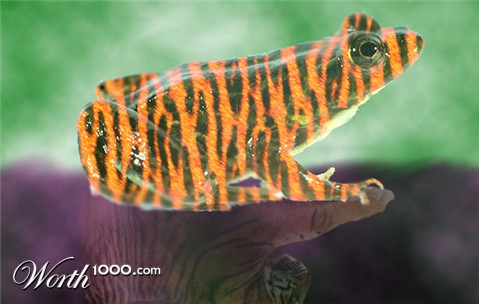 Photoshop Design by doug79