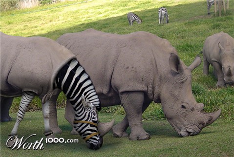 Photoshop Design by Plebite