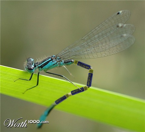 Photoshop Design by Fishwife