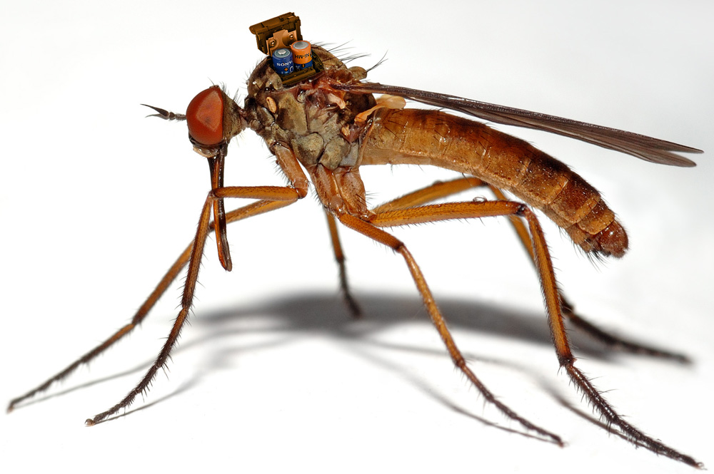 Photoshop Design by ivanas for DesignCrowd (Community Contests) | Design #9013865