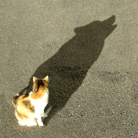 Photoshop Design by Mishikal for DesignCrowd (Community Contests) | Design #9013200