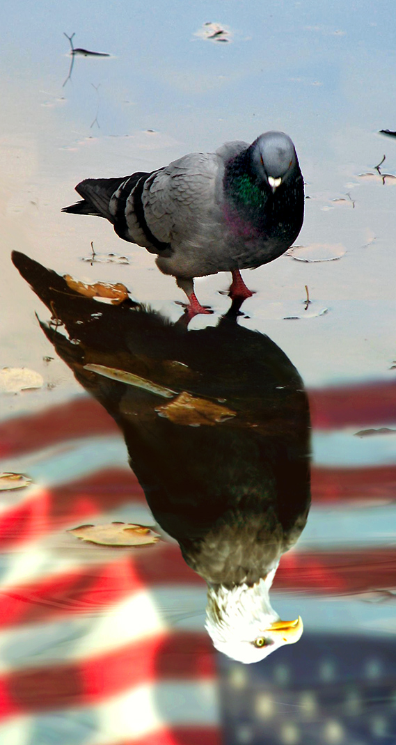 Photoshop Design by Koosricardo for DesignCrowd (Community Contests) | Design #9013141