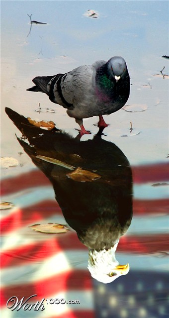 Photoshop Design by Koosricardo