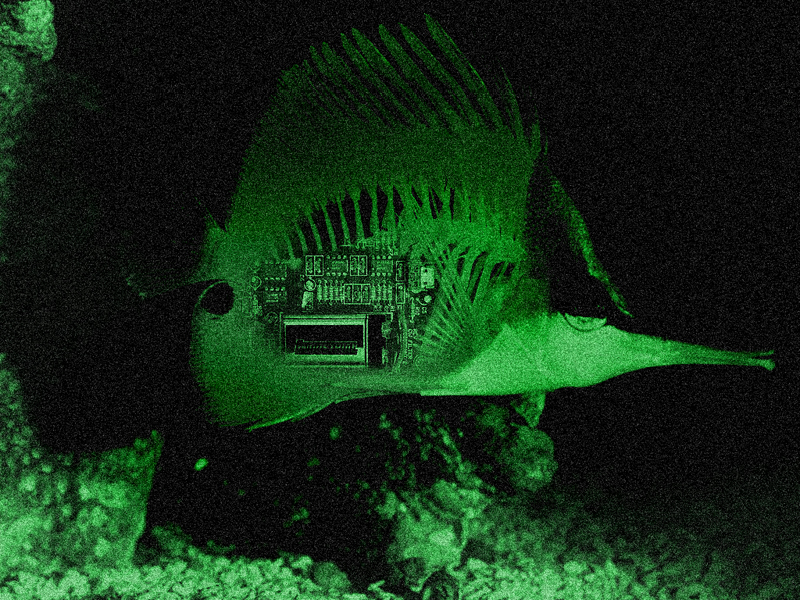 Photoshop Design by dungbeetle for DesignCrowd (Community Contests) | Design #9013882