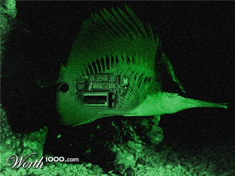 Photoshop Design by dungbeetle